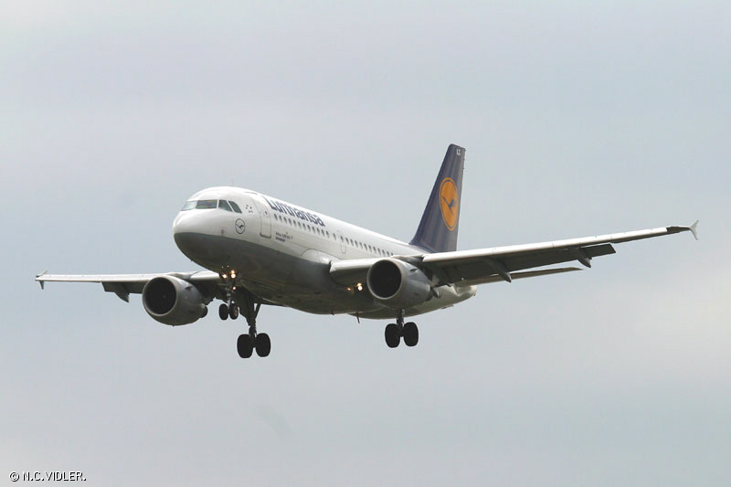 d116.jpg