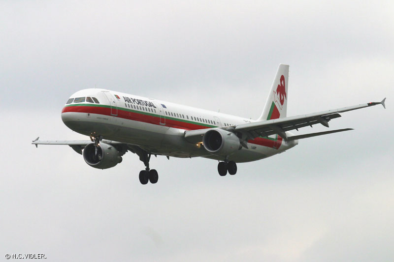 d70.jpg