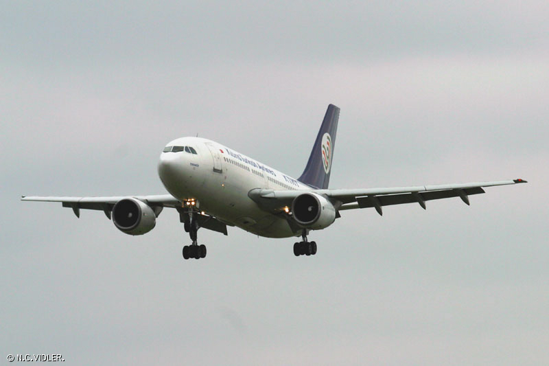 d77.jpg