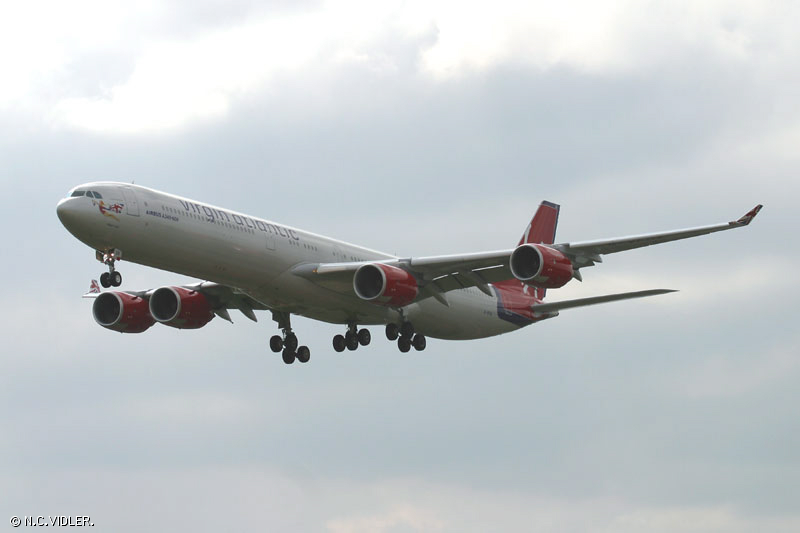 d81.jpg
