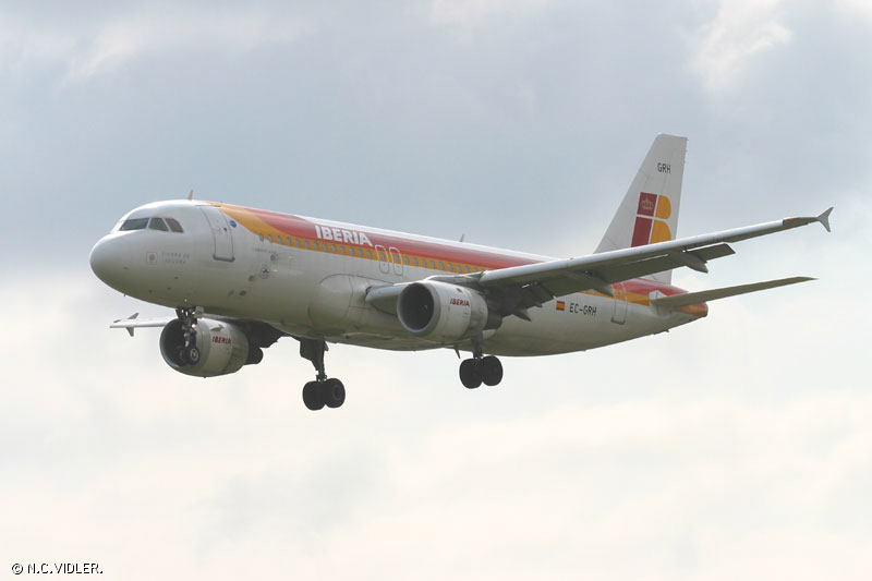 d87.jpg