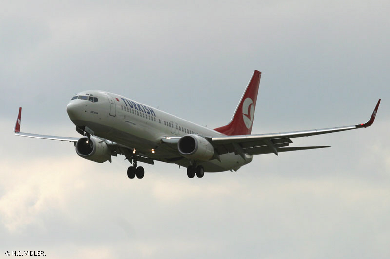 d89.jpg