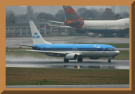 d41.jpg