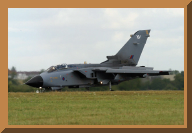 f185.jpg